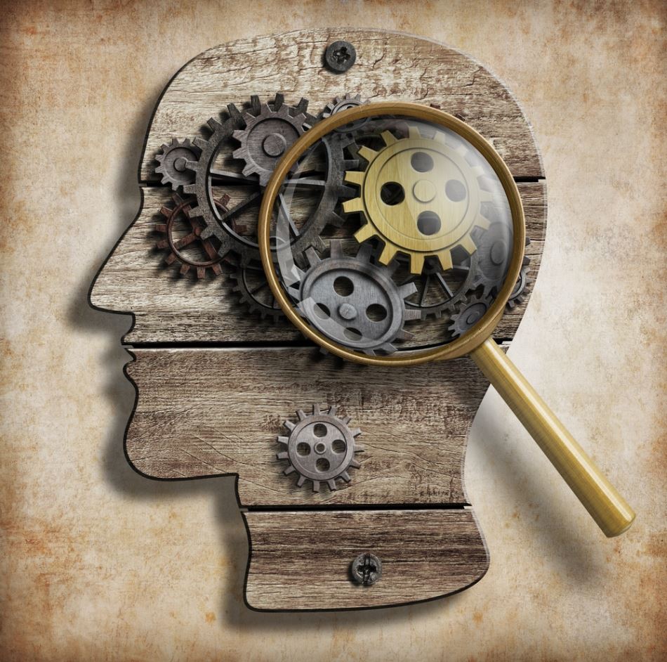 Een houten plaat in de vorm van het hoofd van en mens met een vergrootglas over het brein. Het brein zijn tandwielen.