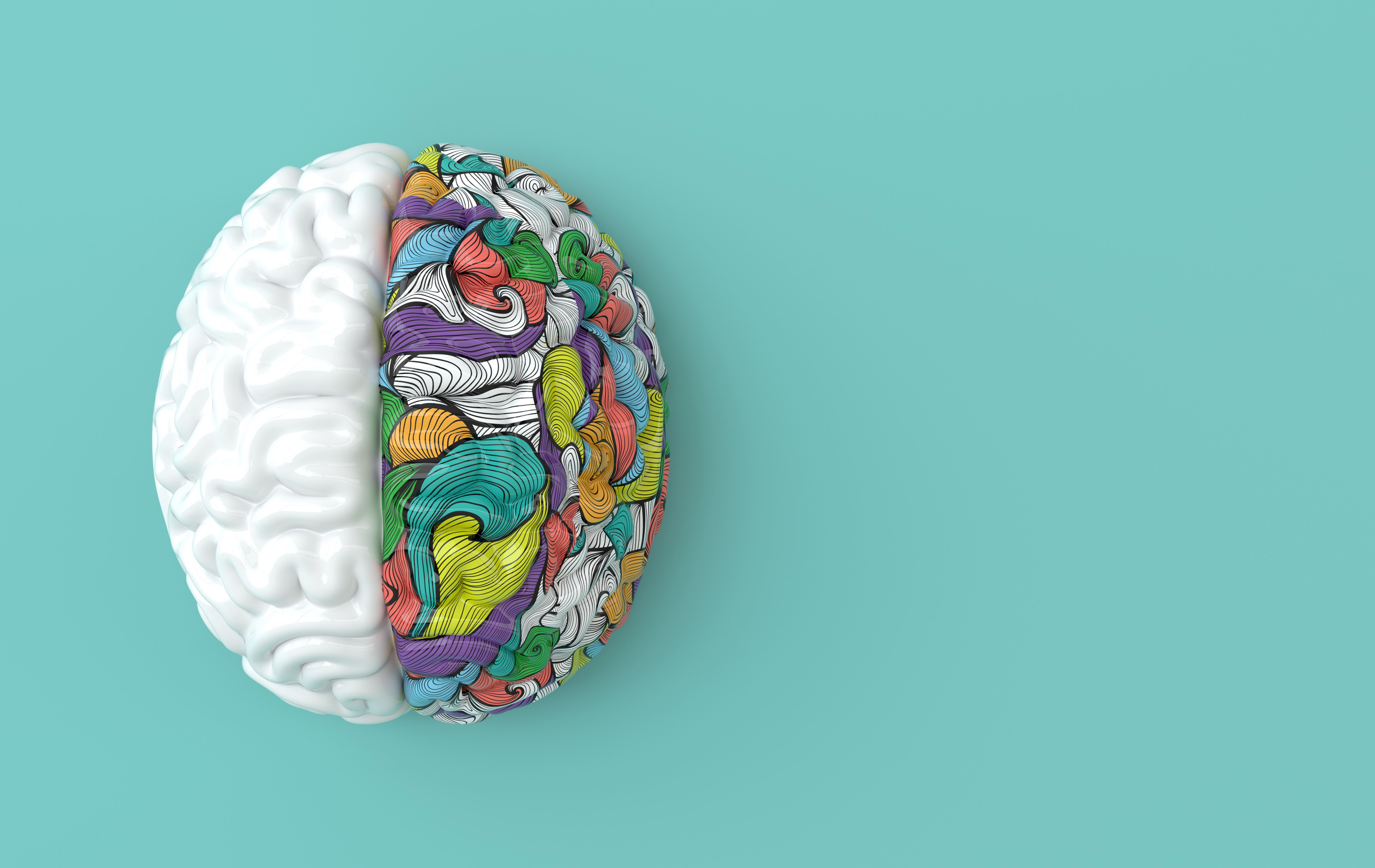 Een namaak van het menselijk brein, de linker heft in wit en de rechter helft is meerdere kleuren.