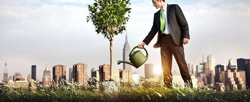 Een man die in een grasveld een boom water geeft. Op de achtergrond is een grote stad te zien.